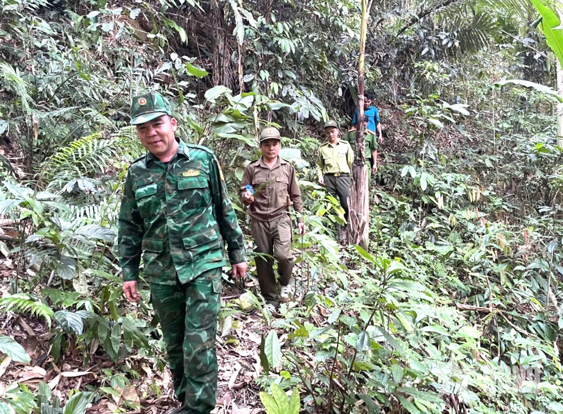 Bảo vệ, phòng cháy rừng mùa nắng nóng